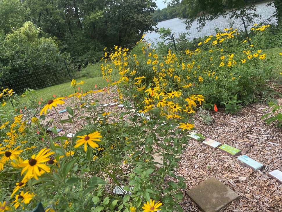 Camp Sertoma Pollinator Garden